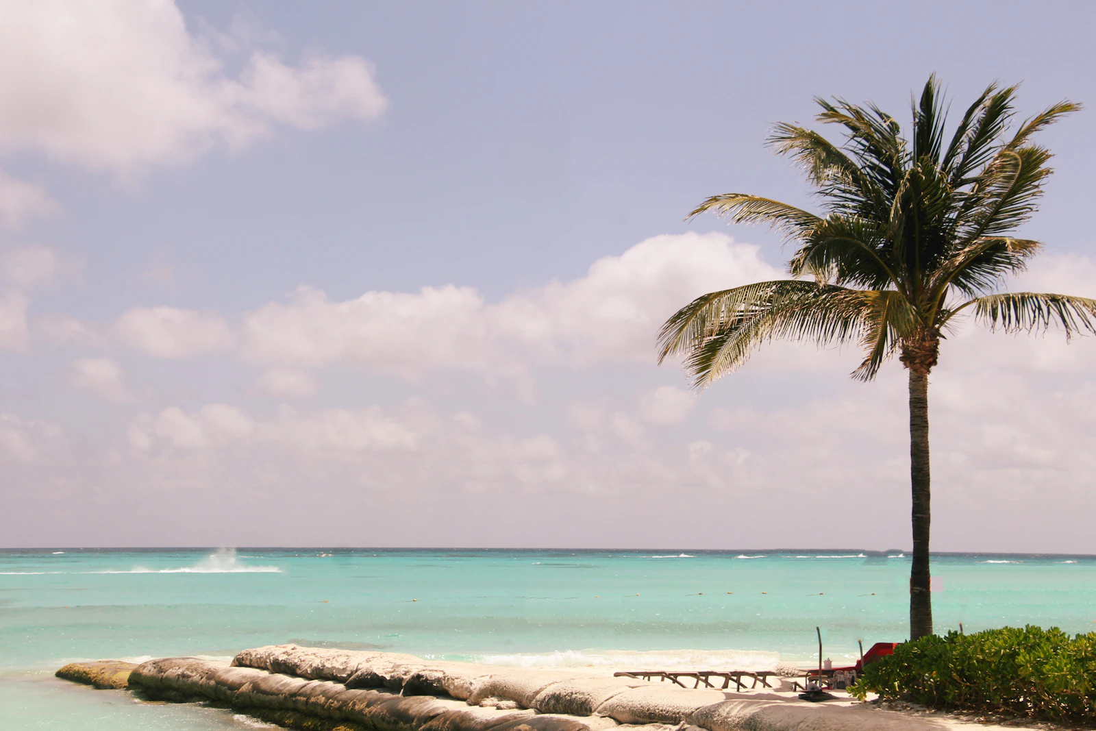 Cancún, Mexico photo 16 by Naturaleza GENERAL