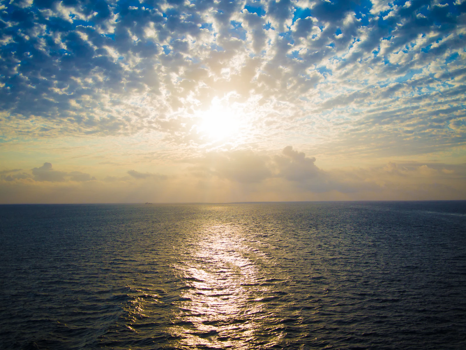 Cozumel, Mexico photo 24 by Alisa Matthews