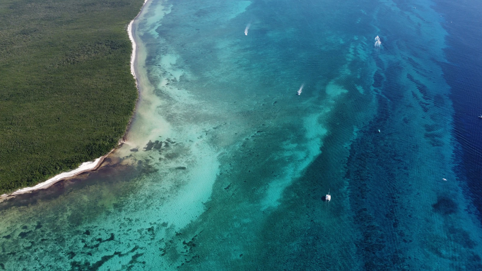 Cozumel, Mexico photo 26 by Luca Dimola