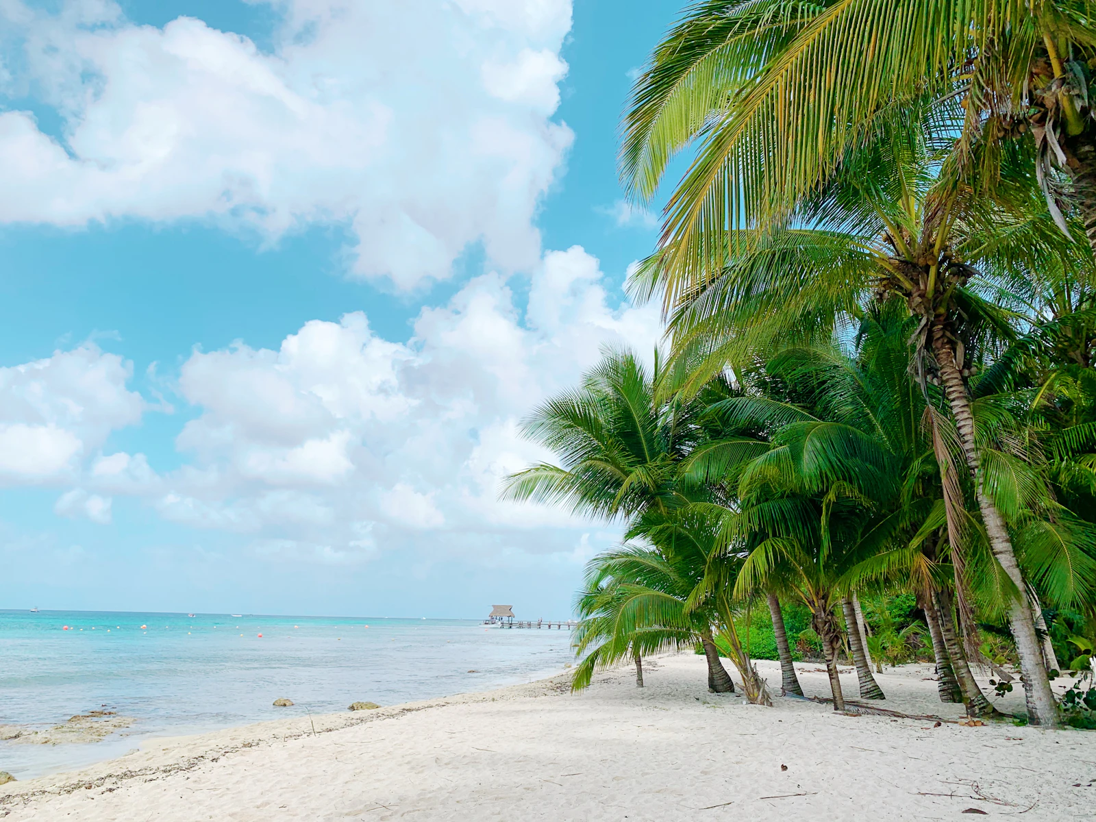 Cozumel, Mexico photo 3 by Fallon Michael