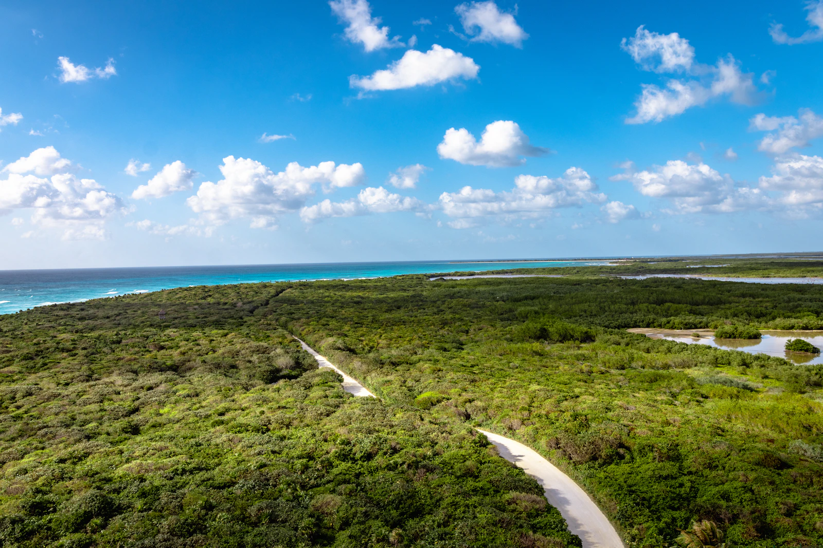 Cozumel, Mexico photo 7 by Devin H