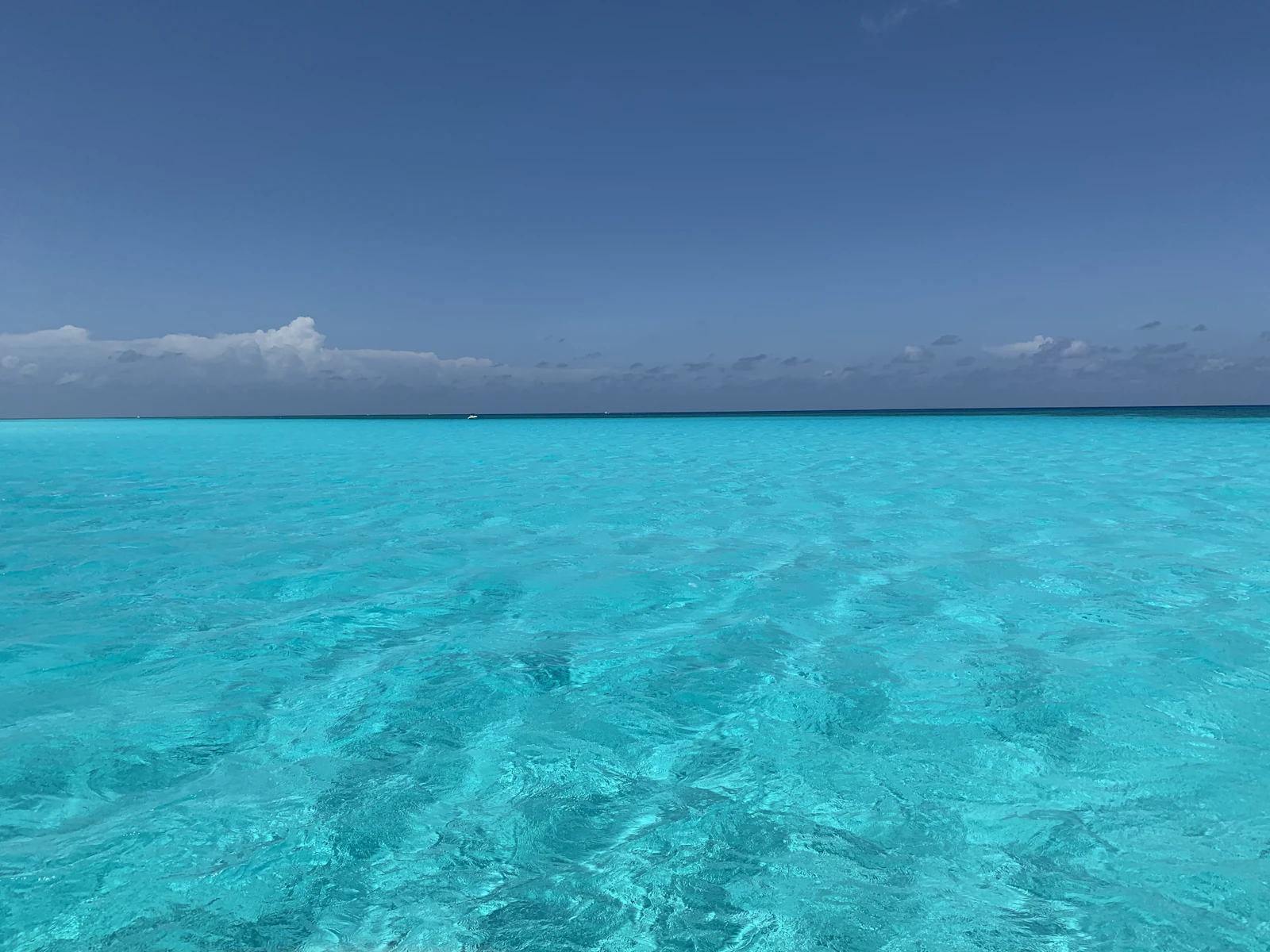 Cozumel, Mexico photo 30 by Fernando Jorge
