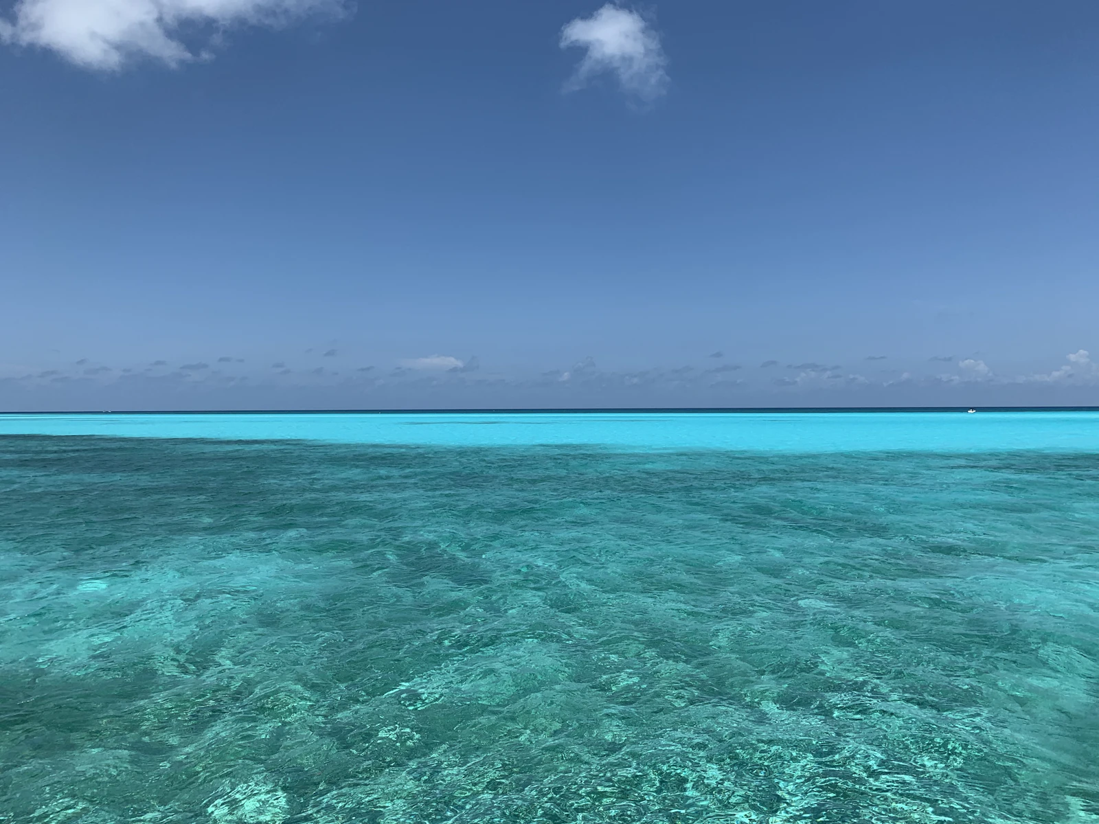 Cozumel, Mexico photo 27 by Fernando Jorge