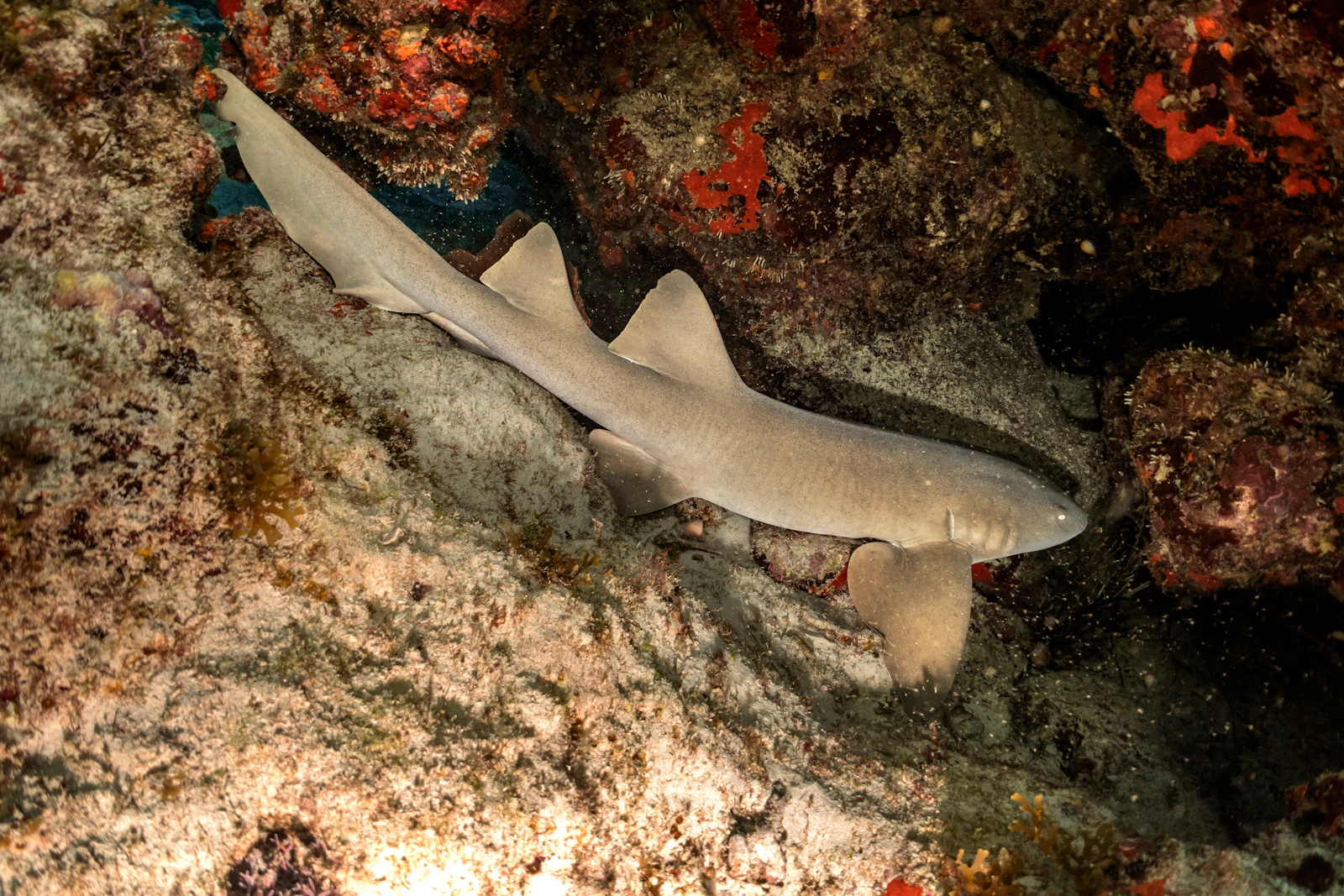 Isla Mujeres, Mexico photo 14 by Malek Bee