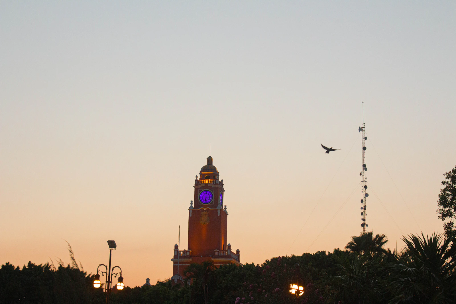 Mérida, Mexico photo 9 by Luis Desiro