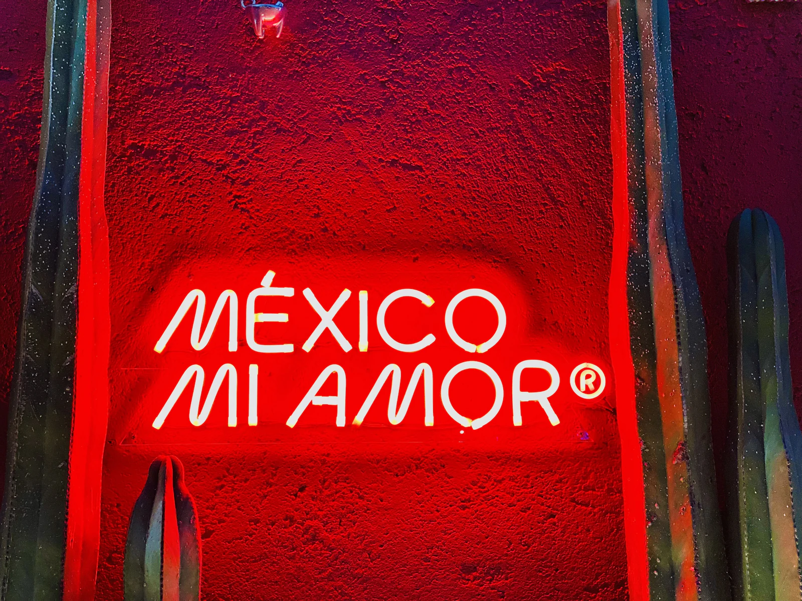 Mexico City, Mexico photo 27 by Hannah Bennett