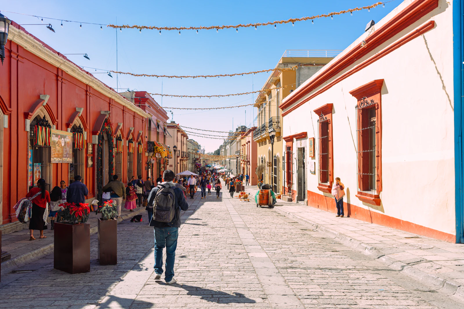 Oaxaca, Mexico photo 2 by Roman Lopez