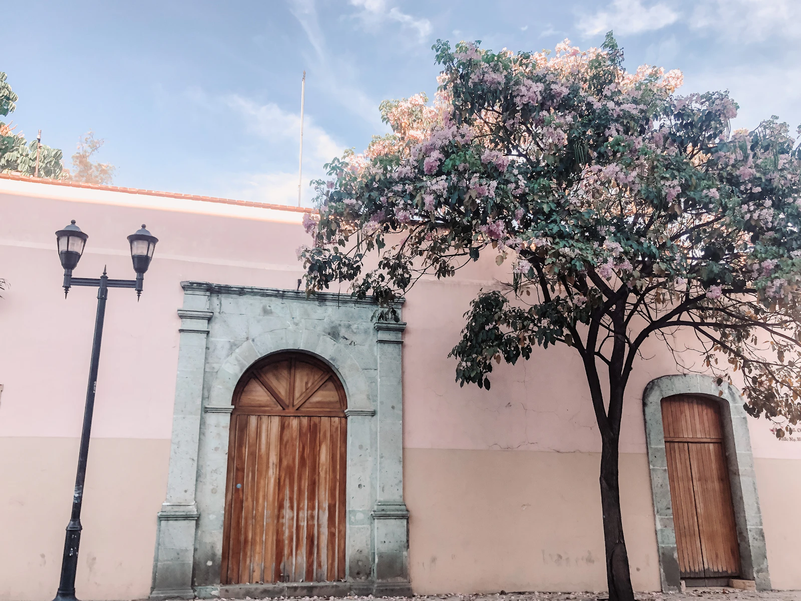 Oaxaca, Mexico photo 12 by Ashley Galeote