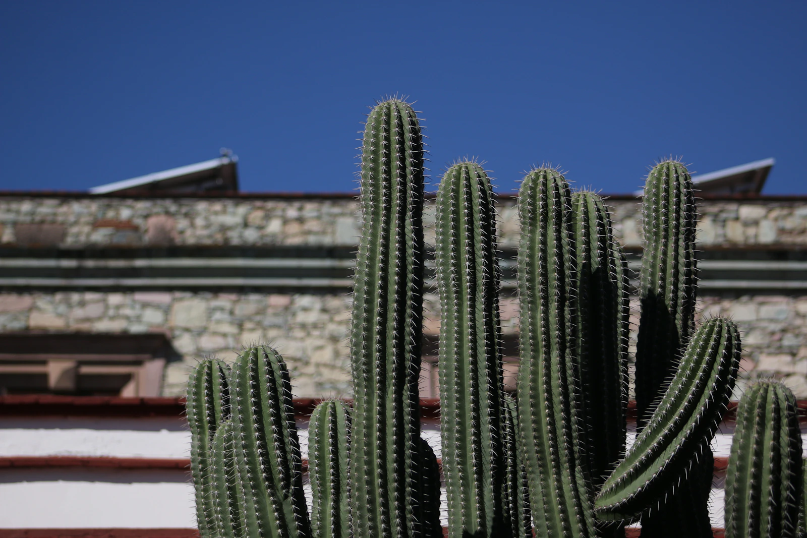 Oaxaca, Mexico photo 27 by José Pablo Domínguez