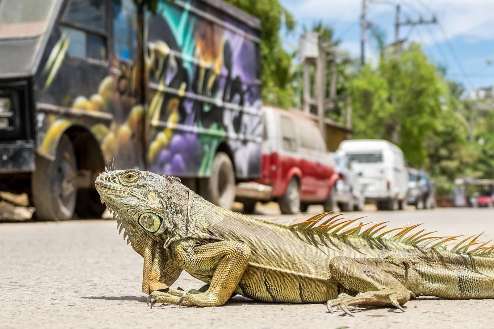Sayulita, Mexico photo 6 by Eric Anderson