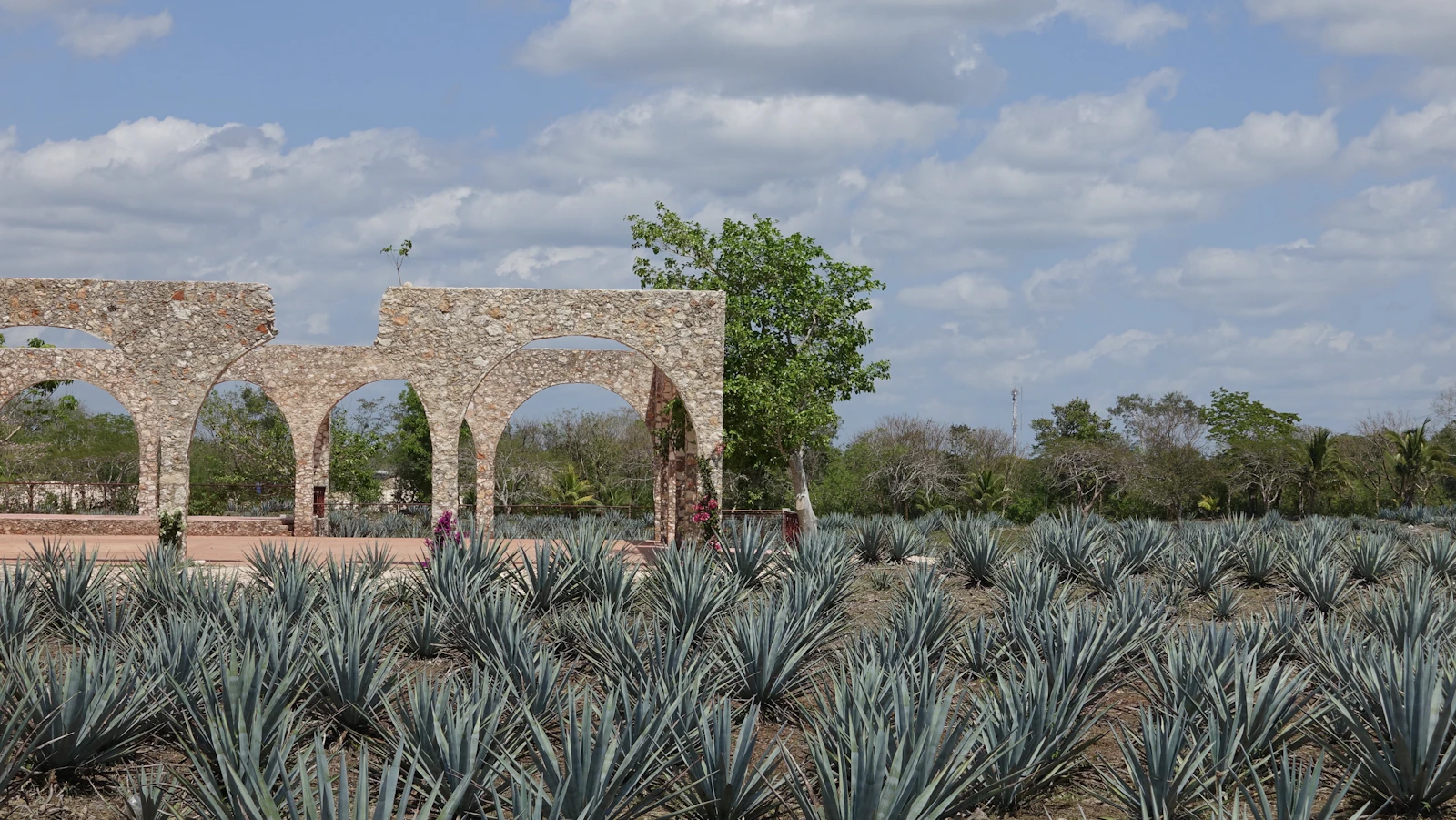 Valladolid, Mexico photo 8 by Yimeng Zhao