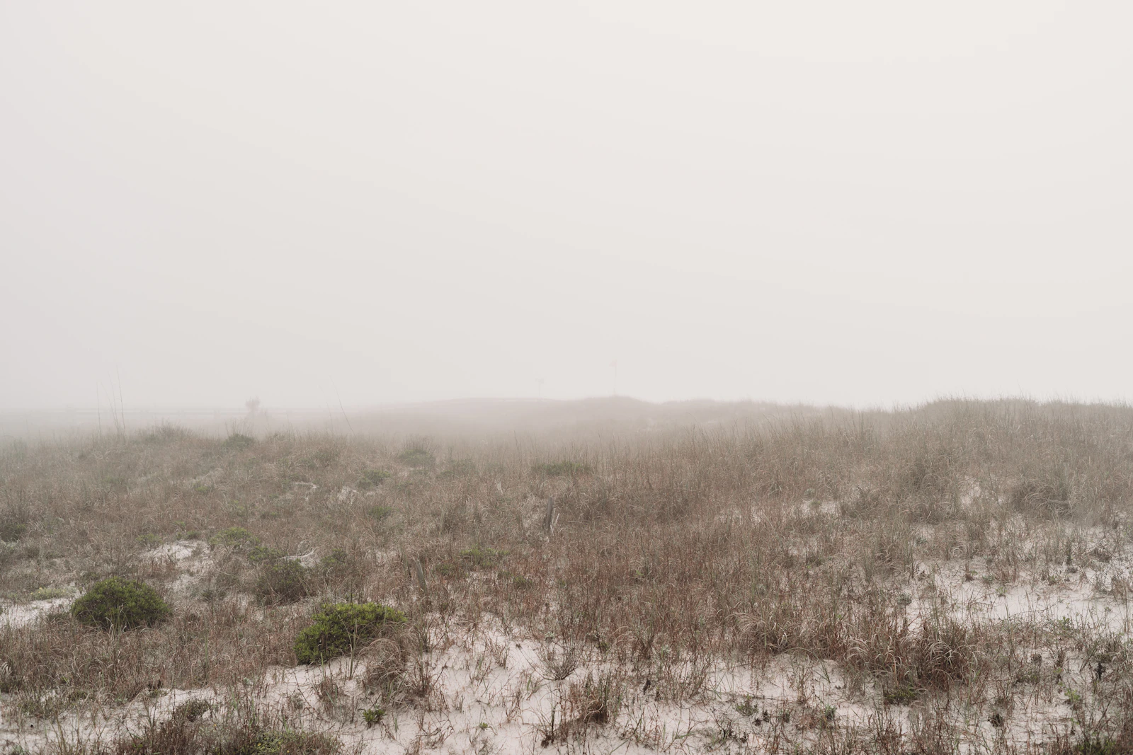 Gulf Shores, Alabama photo 28 by Steven Van Elk