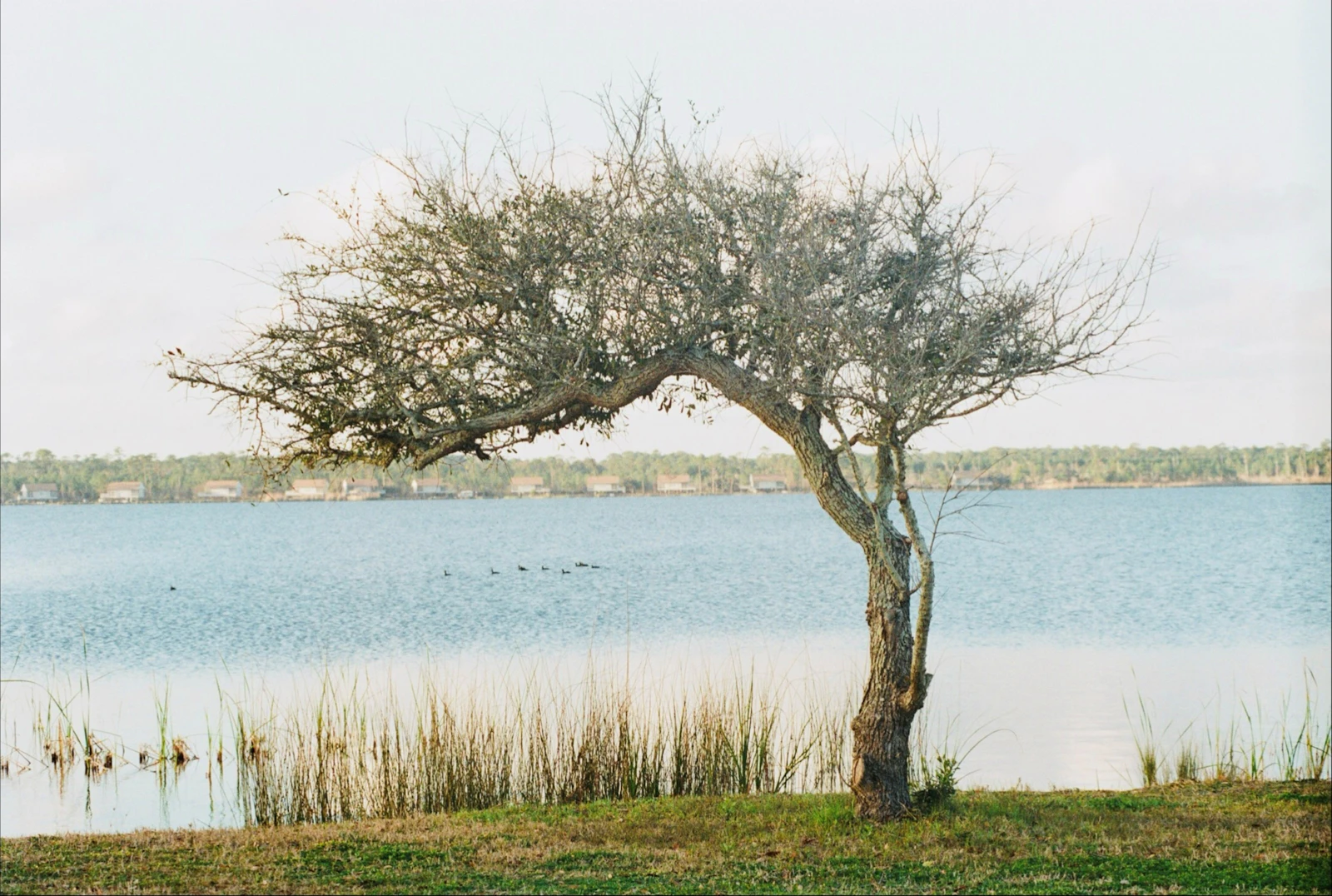 Gulf Shores, Alabama photo 24 by goodrich kingrey