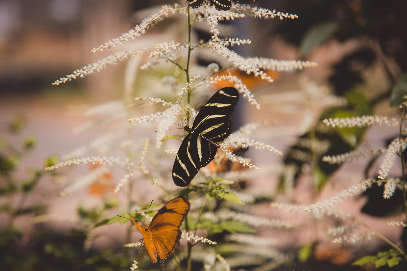 Huntsville, Alabama photo 7 by Lacie Cueto