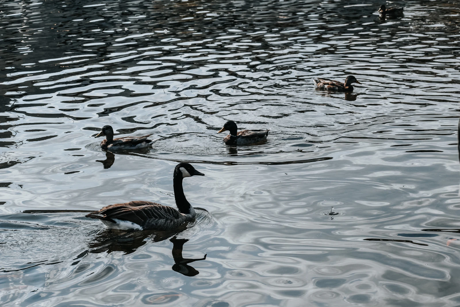 Huntsville, Alabama photo 16 by Megan Lee
