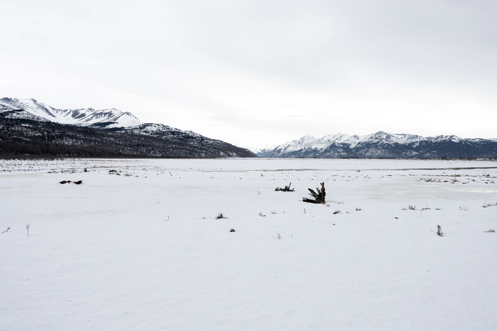 Anchorage, Alaska photo 23 by John Feng