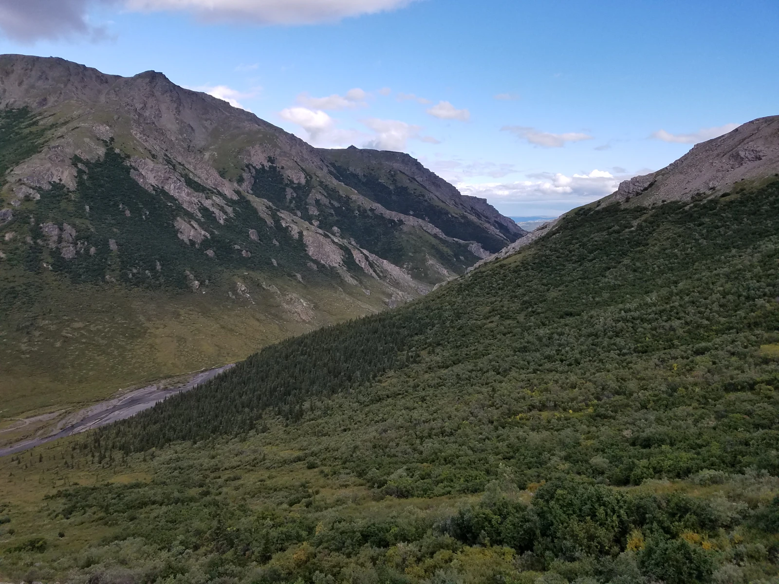 Denali Park, Alaska photo 23 by Katie Constantine