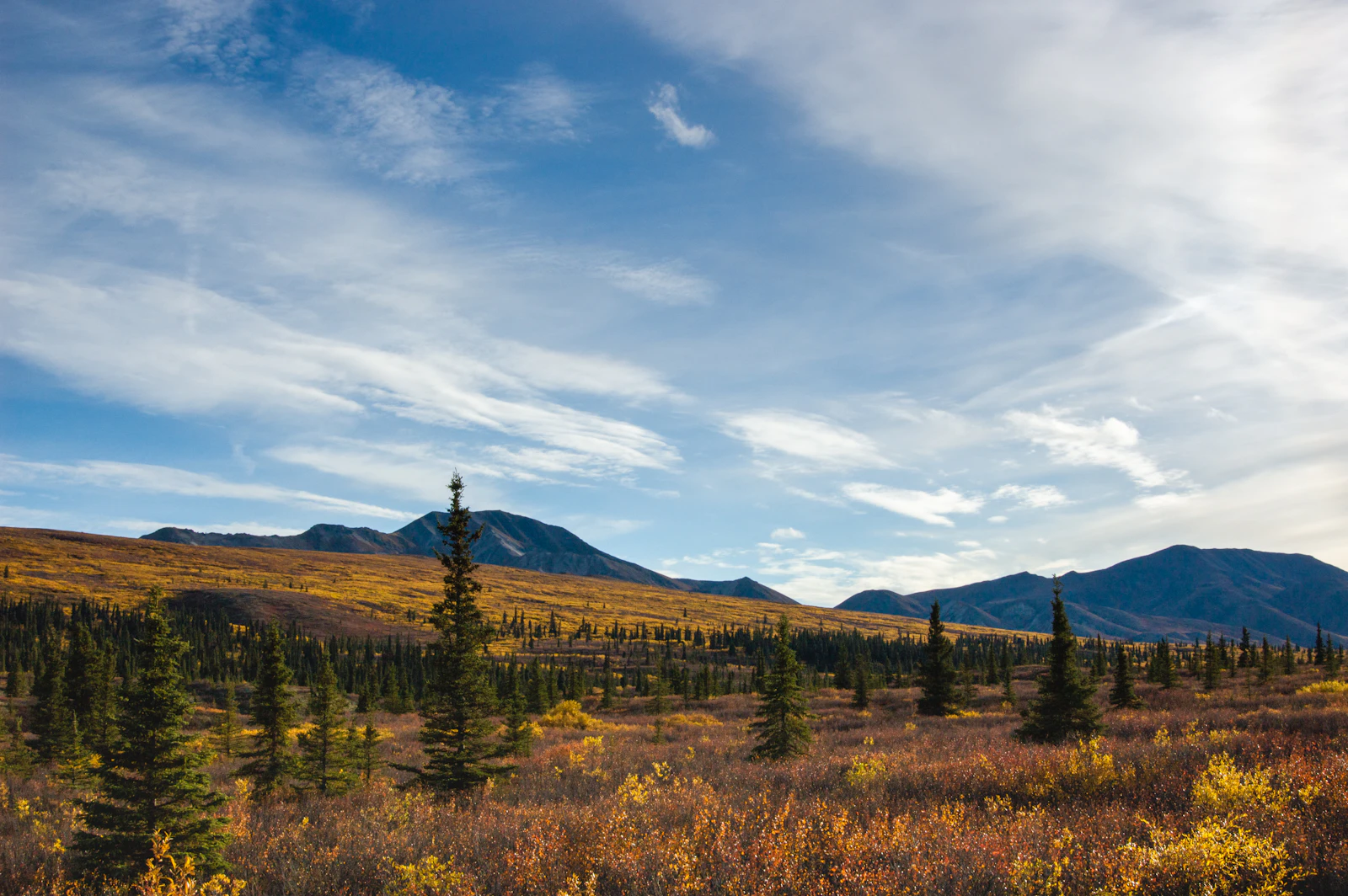 Denali Park, Alaska photo 30 by Patrick Federi