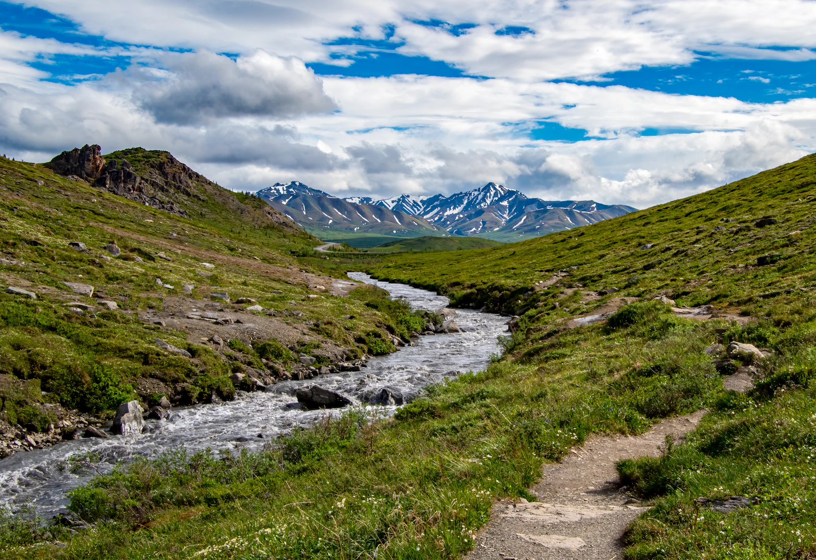 Denali Park, Alaska photo 6 by Stephen Crane