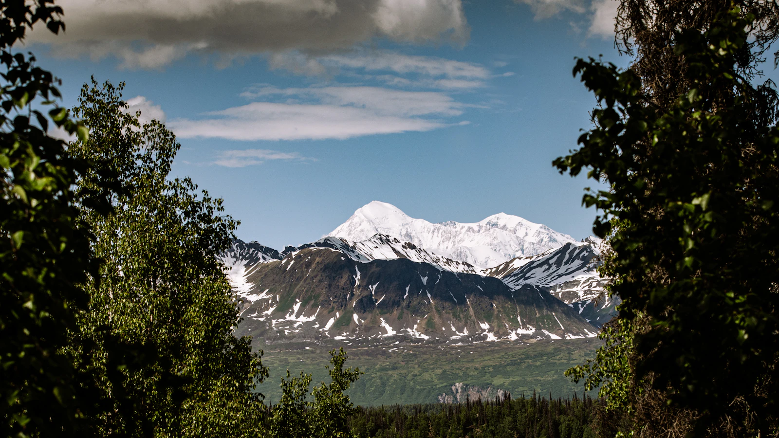 Denali Park, Alaska photo 19 by Josh McCausland