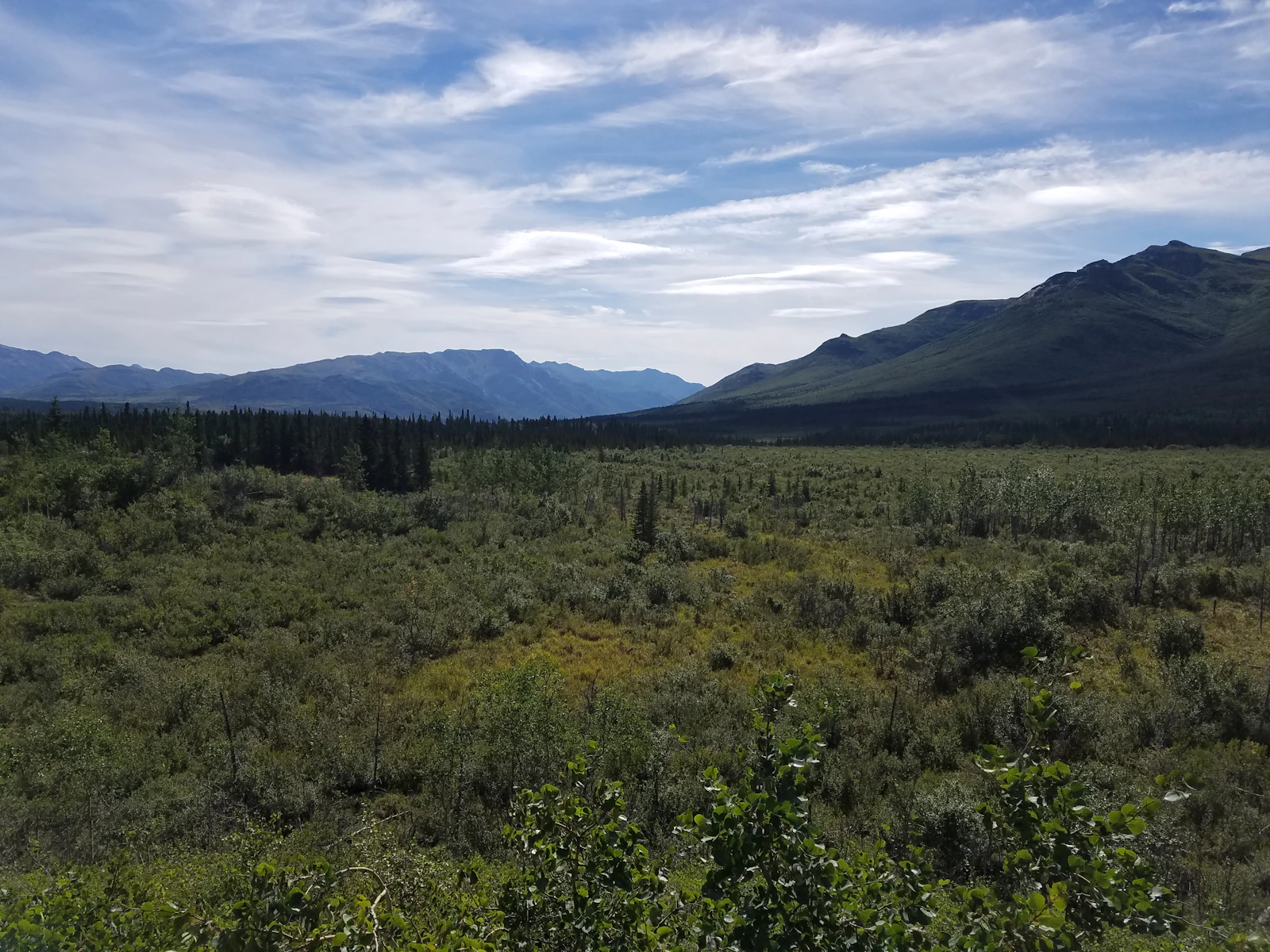 Denali Park, Alaska photo 18 by Katie Constantine