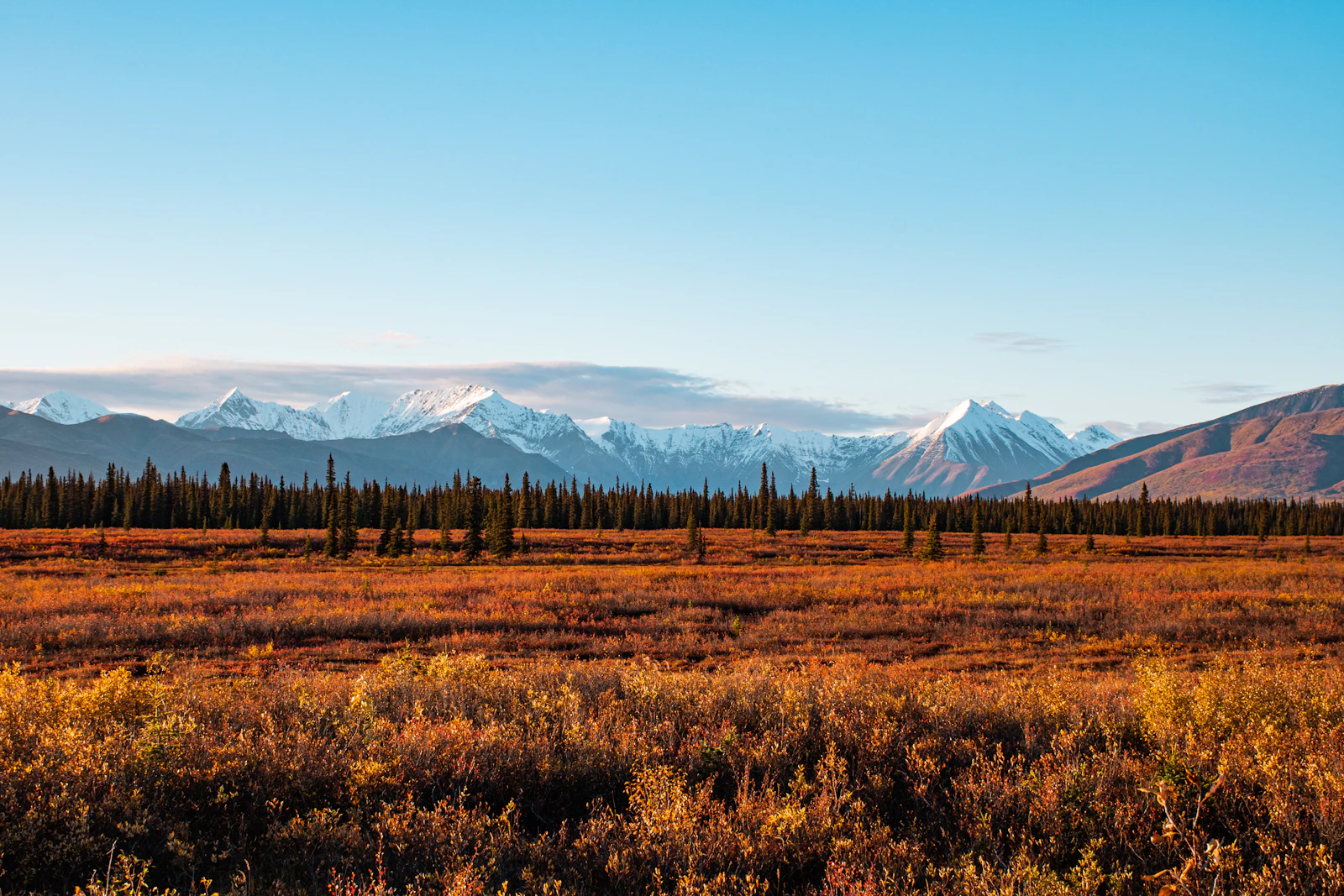 Denali Park, Alaska travel photo