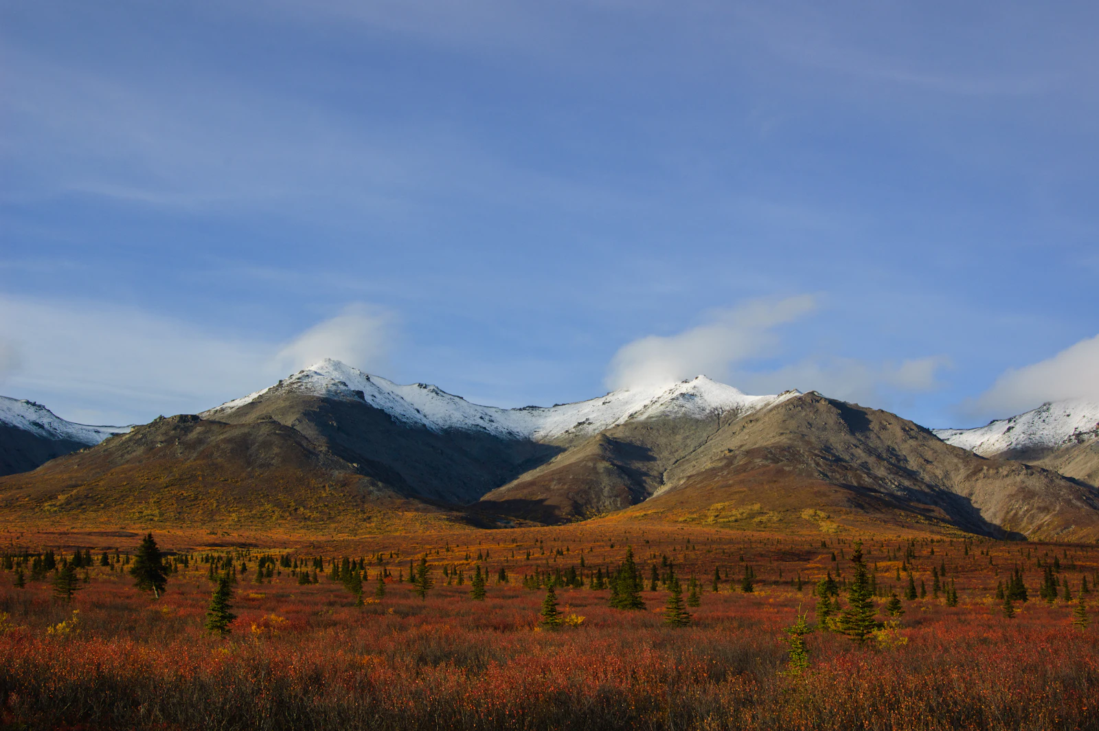 Denali Park, Alaska photo 29 by Patrick Federi