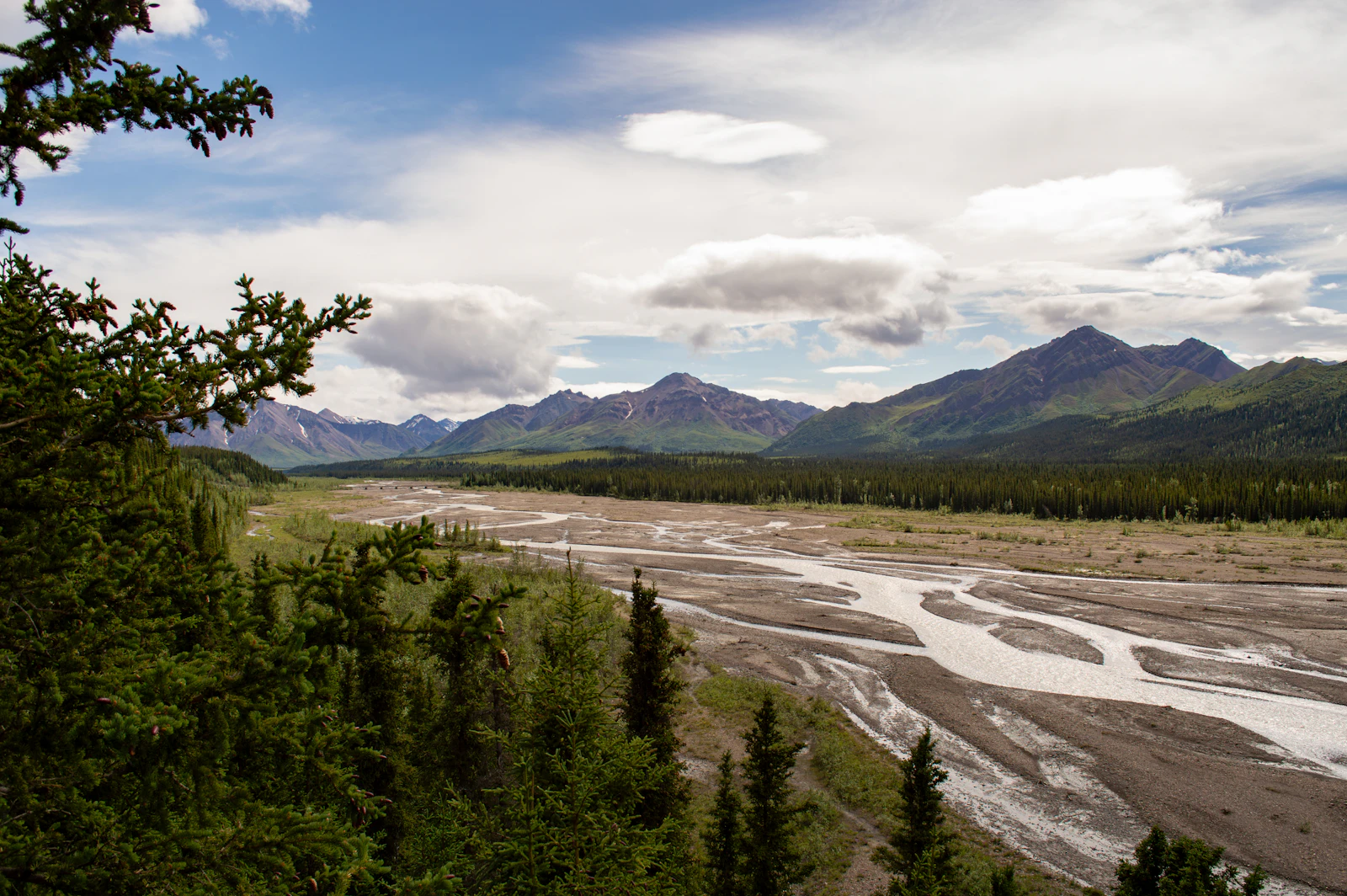 Denali Park, Alaska photo 9 by Ella Deane