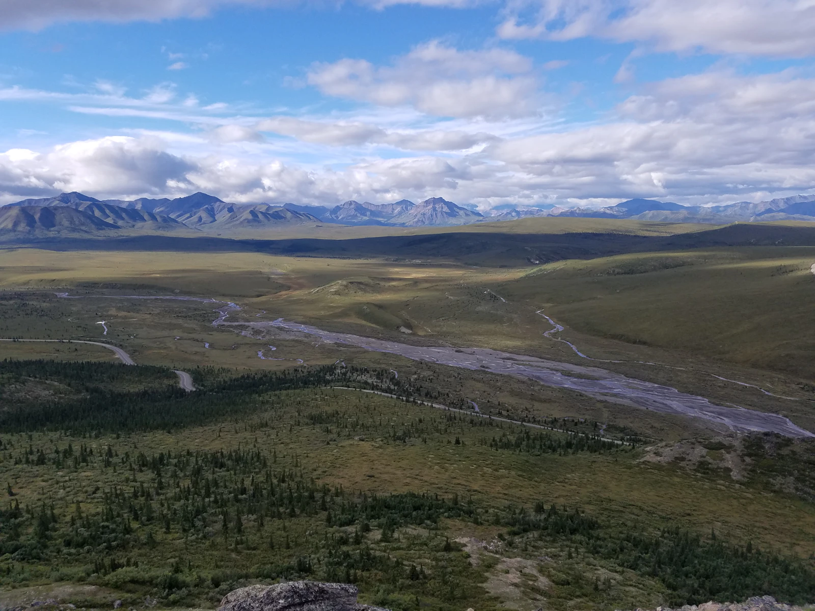 Denali Park, Alaska photo 22 by Katie Constantine