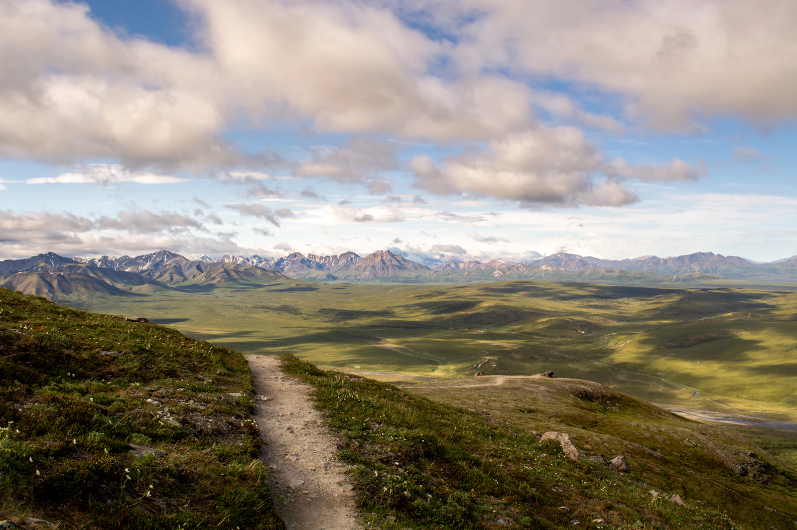 Denali Park, Alaska photo 7 by Ella Deane