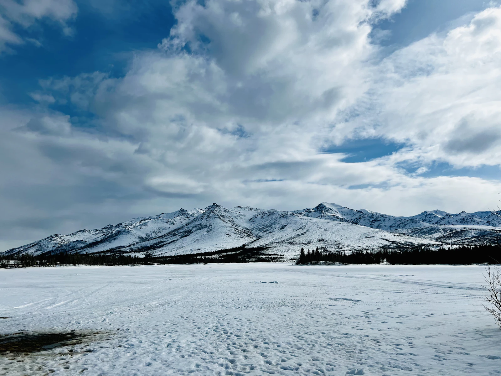Denali Park, Alaska photo 14 by Blair Roberts Castagnetta