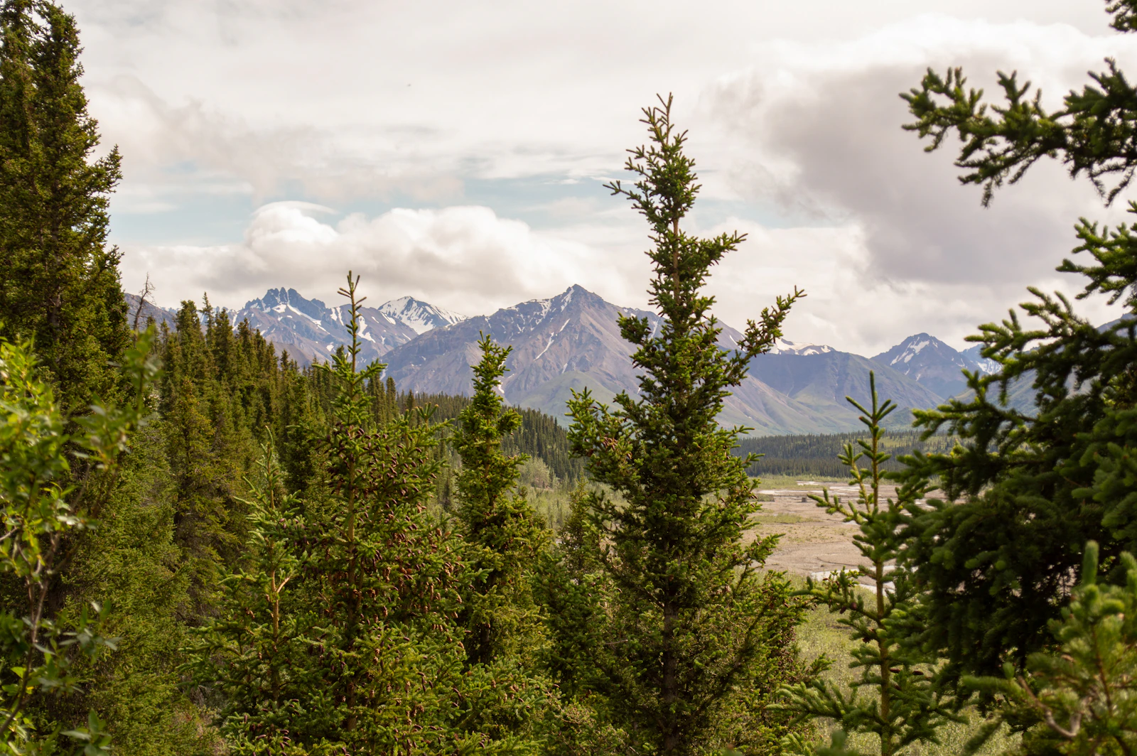 Denali Park, Alaska photo 10 by Ella Deane