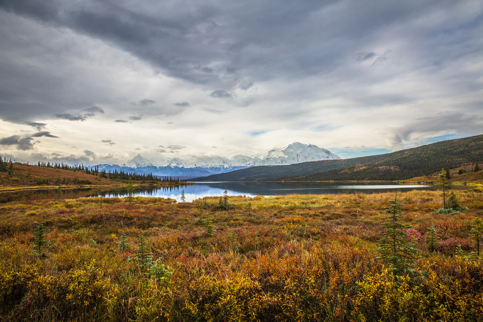 Denali Park, Alaska photo 16 by Ahmer Kalam