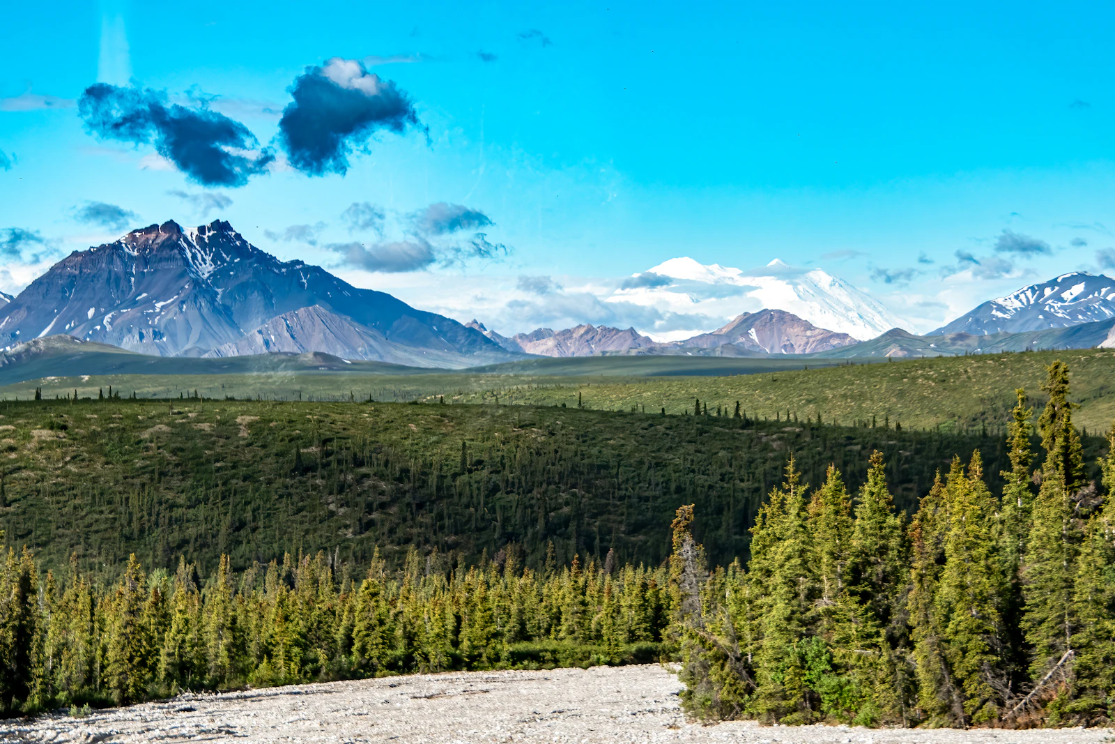 Denali Park, Alaska photo 15 by Stephen Crane
