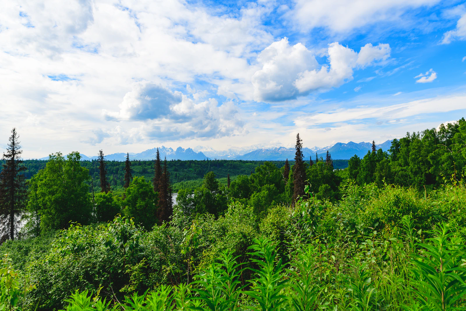 Denali Park, Alaska photo 11 by Hari Nandakumar