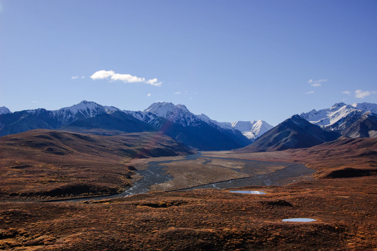 Denali Park, Alaska photo 20 by Patrick Federi