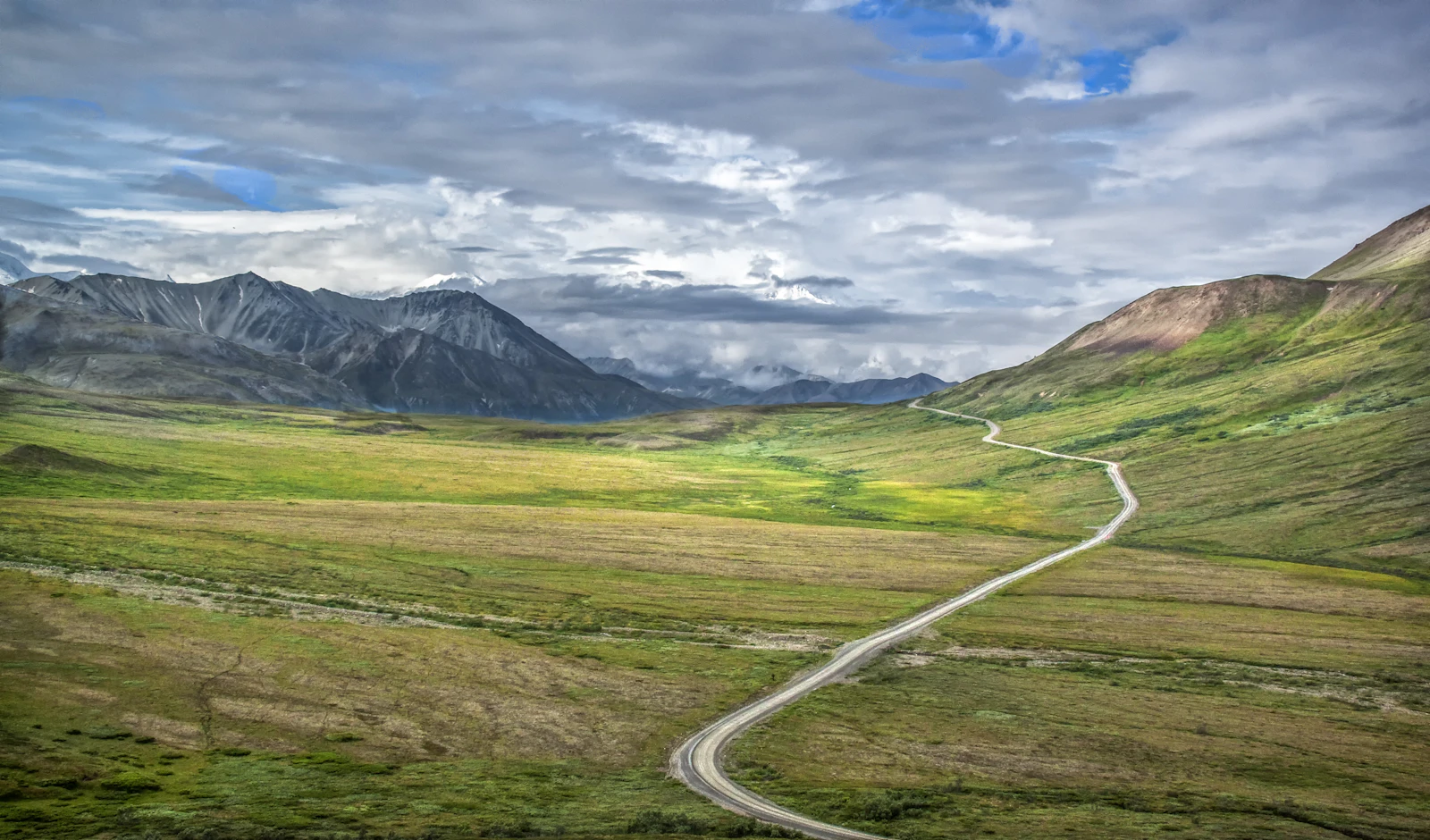 Denali Park, Alaska photo 27 by Sterling Lanier