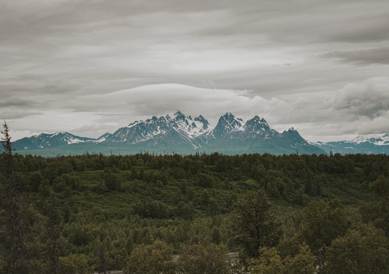 Denali Park, Alaska photo 4 by Ella Deane
