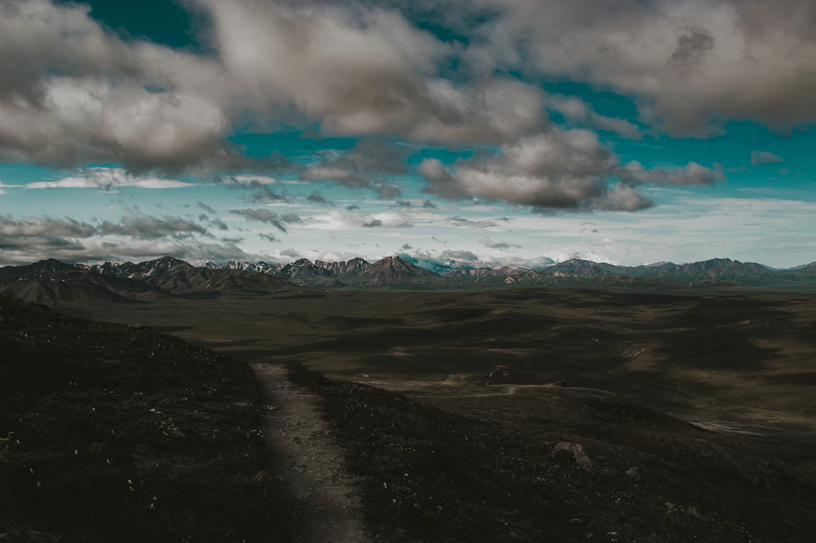 Denali Park, Alaska photo 13 by Ella Deane