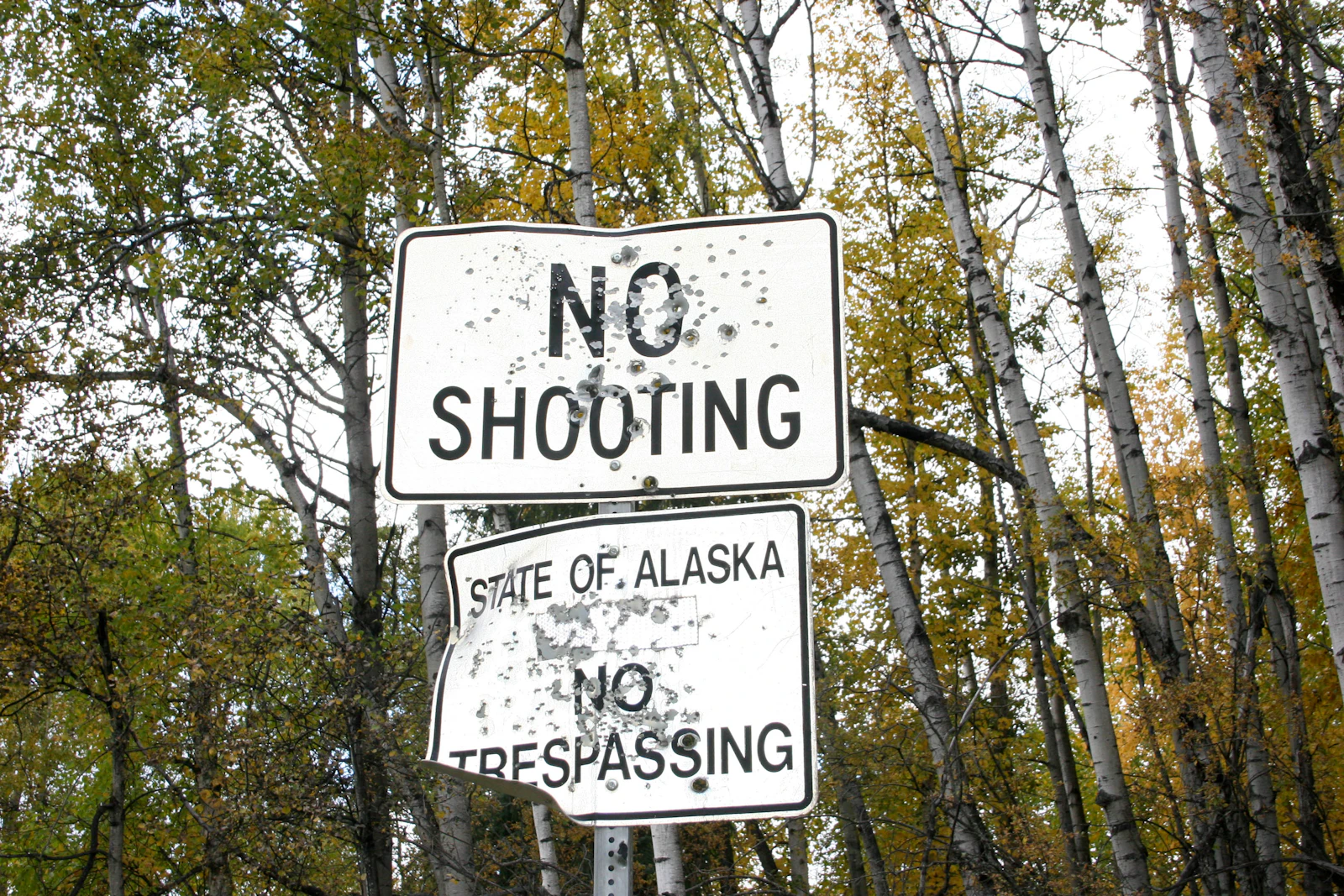 Fairbanks, Alaska photo 16 by Katherine Hood