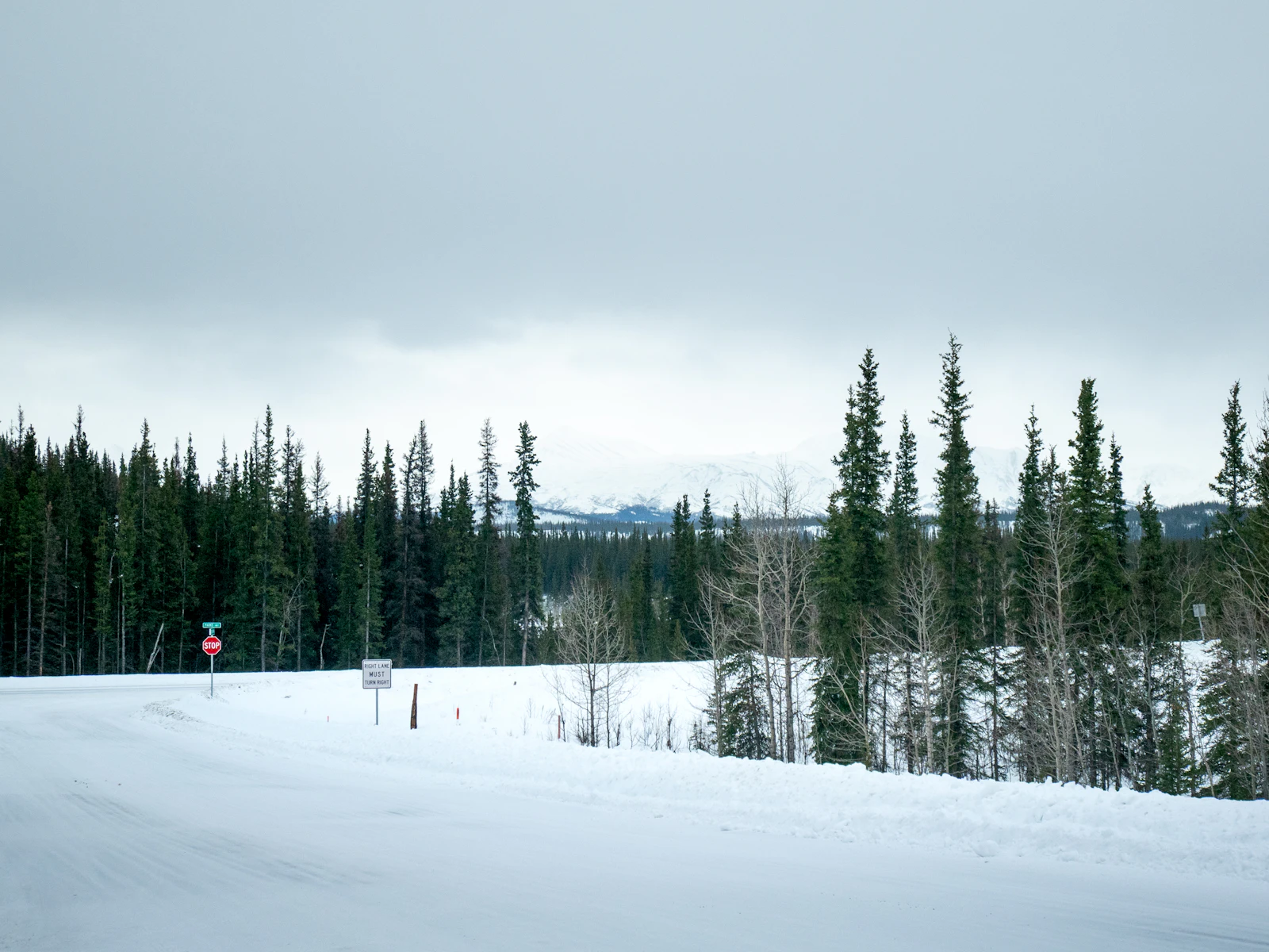 Fairbanks, Alaska photo 27 by Macarena Ollarzú