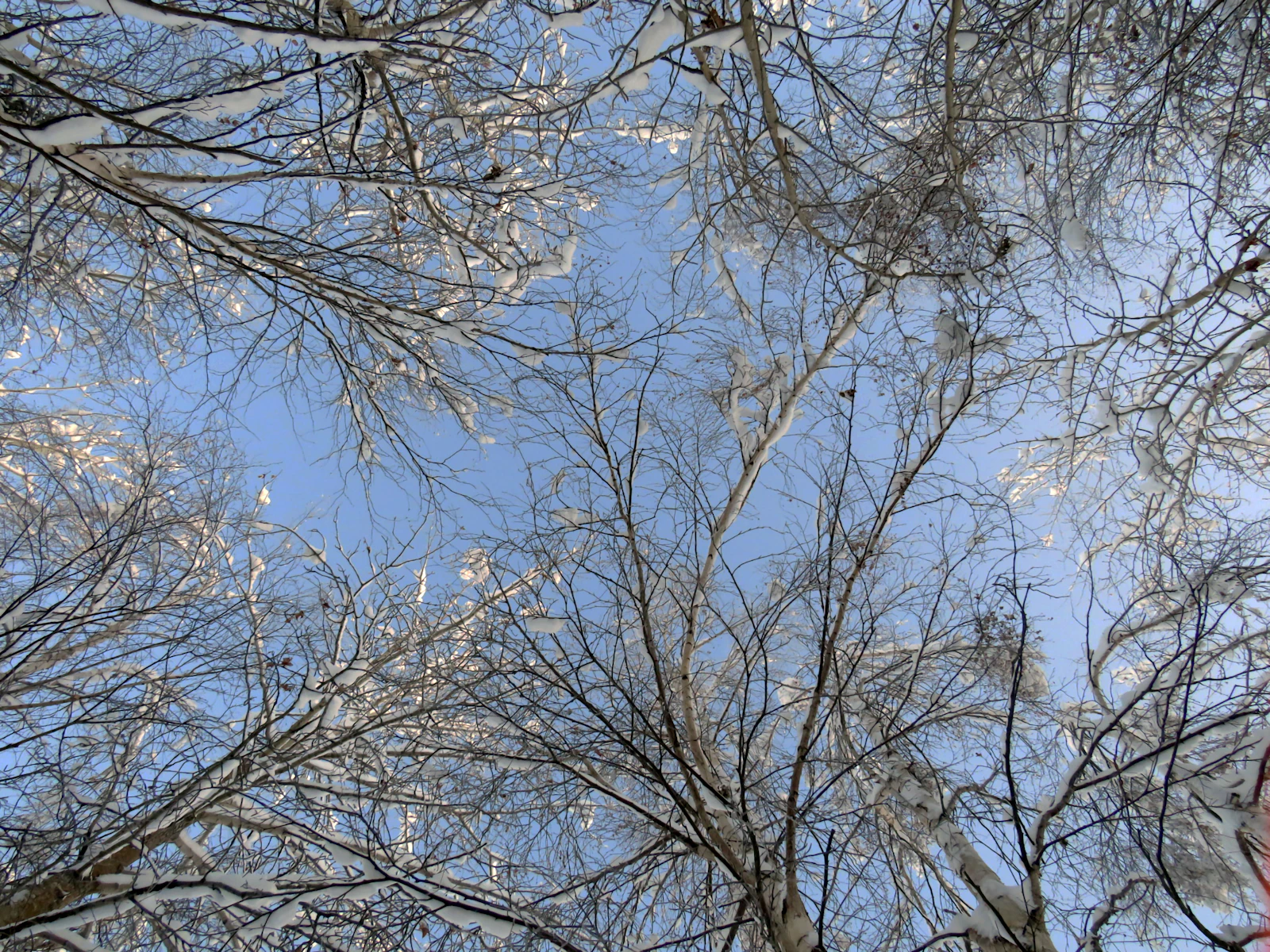 Fairbanks, Alaska photo 26 by Brianna Marble