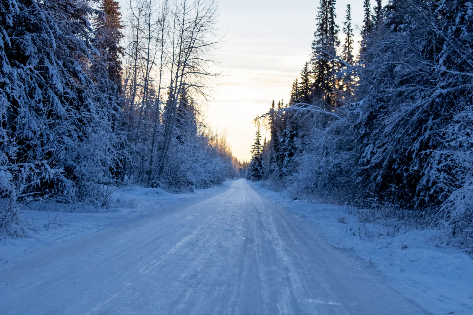 Fairbanks, Alaska photo 28 by Brianna Marble