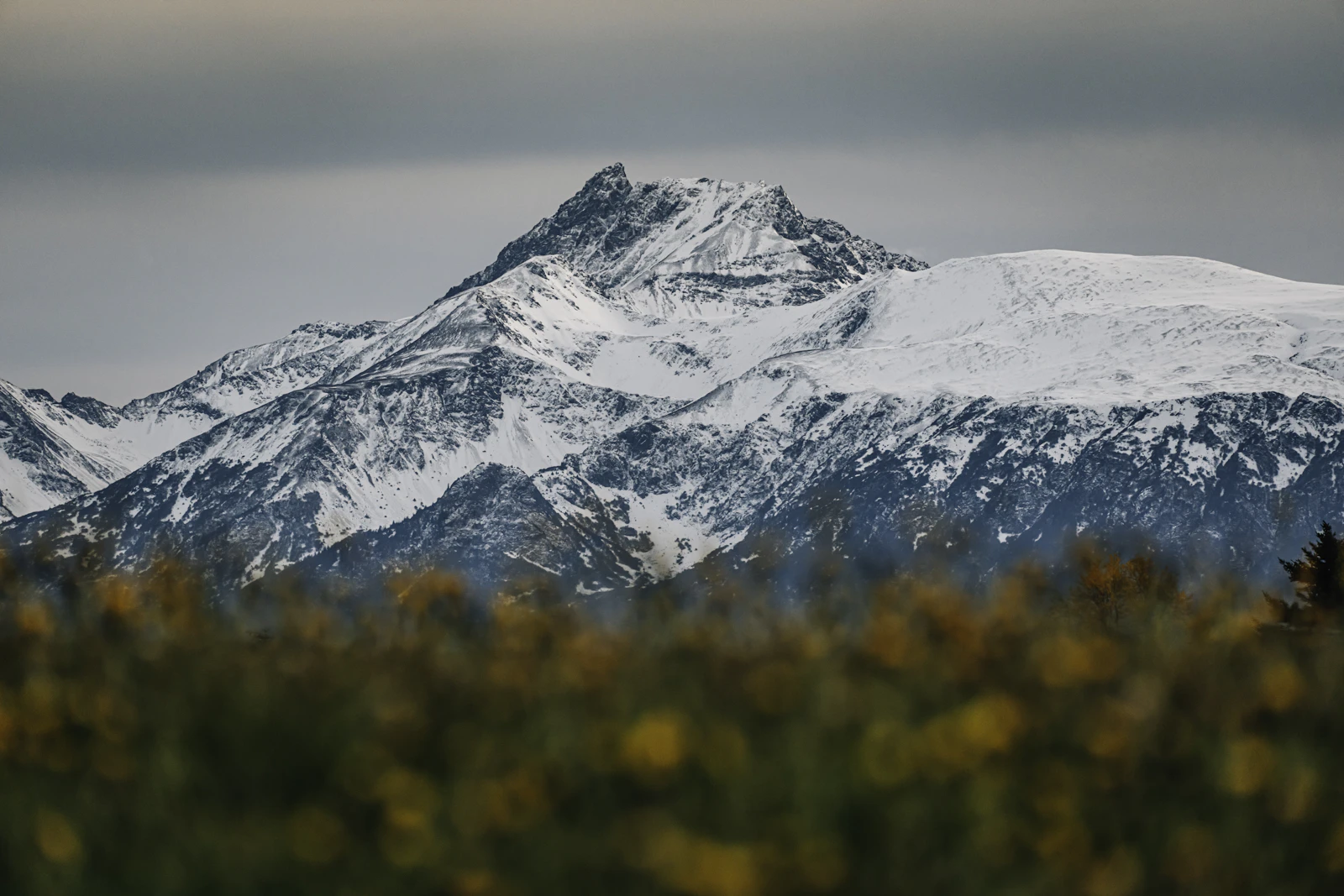 Homer, Alaska photo 4 by Jerad Hill
