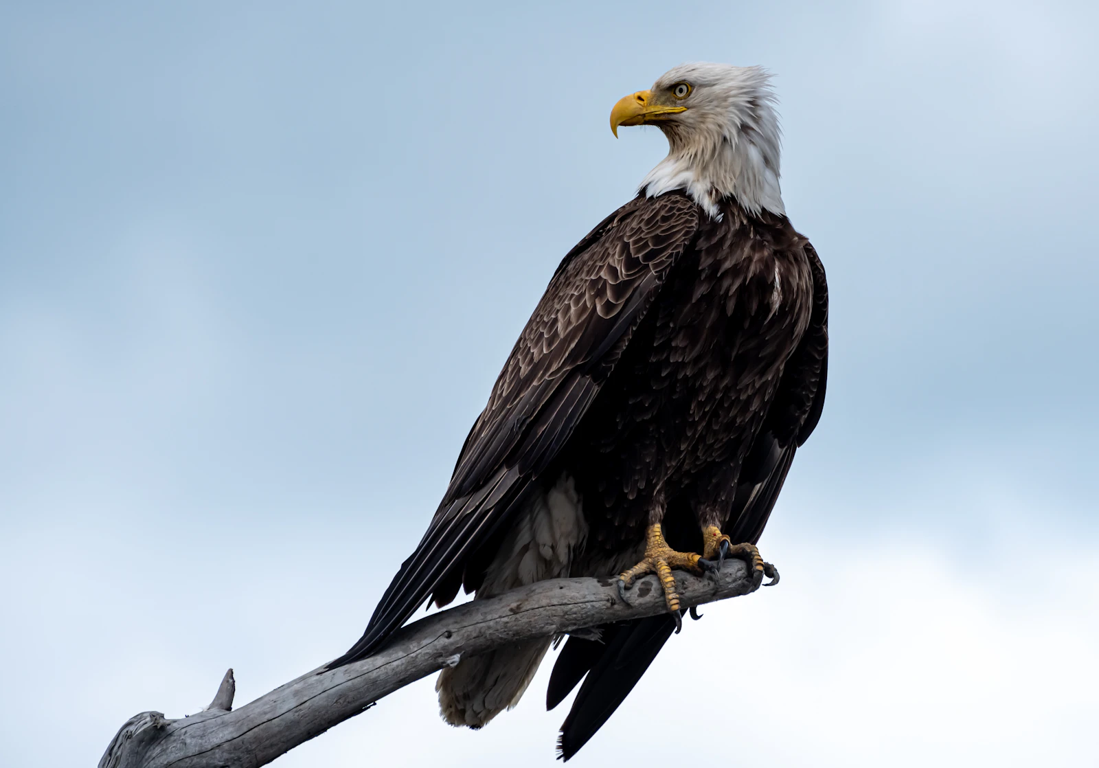 Homer, Alaska photo 7 by Elan smith