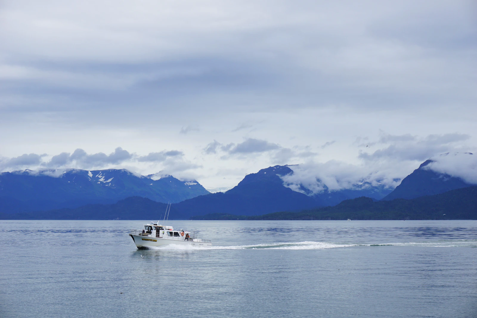 Homer, Alaska photo 3 by Meina Yin