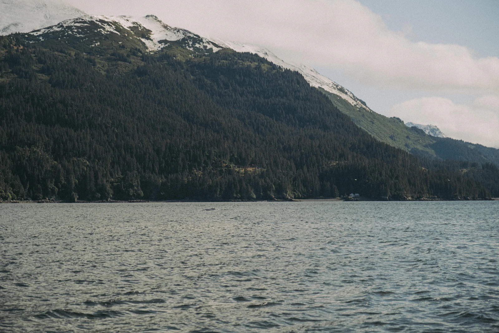 Homer, Alaska photo 5 by Colin + Meg