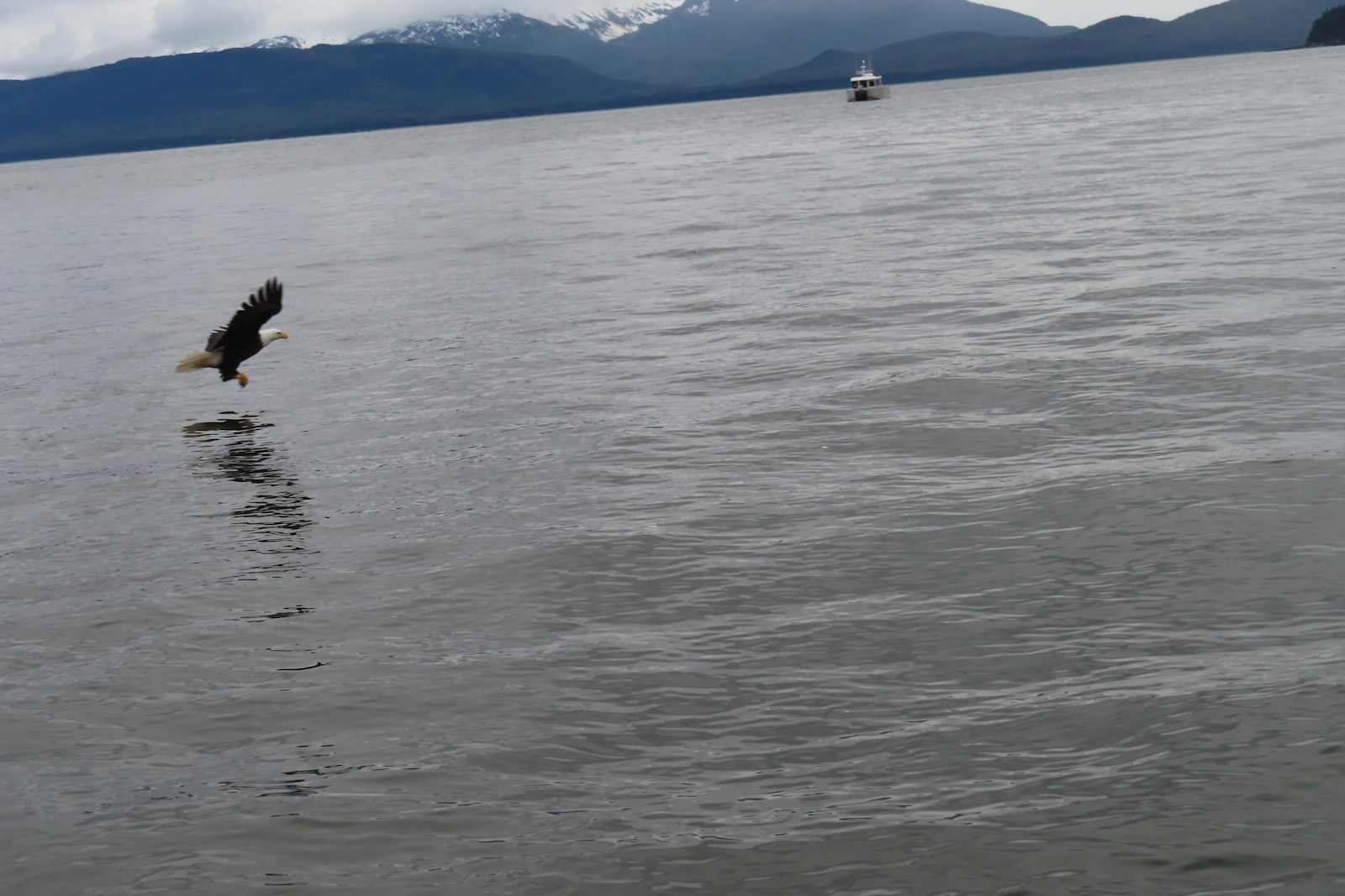Juneau, Alaska photo 24 by Julie Ostrander