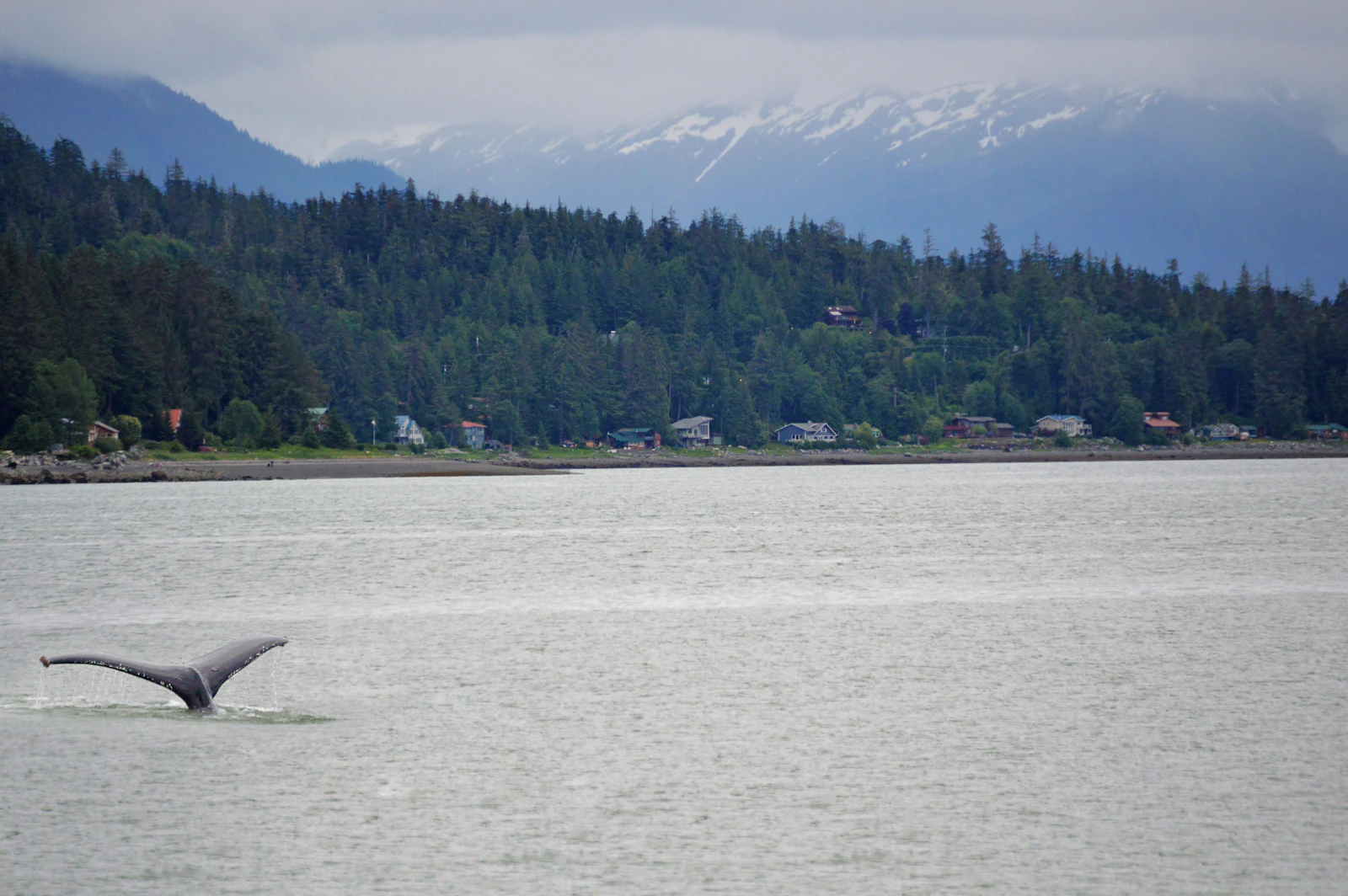 Juneau, Alaska photo 29 by Jonathan Skule