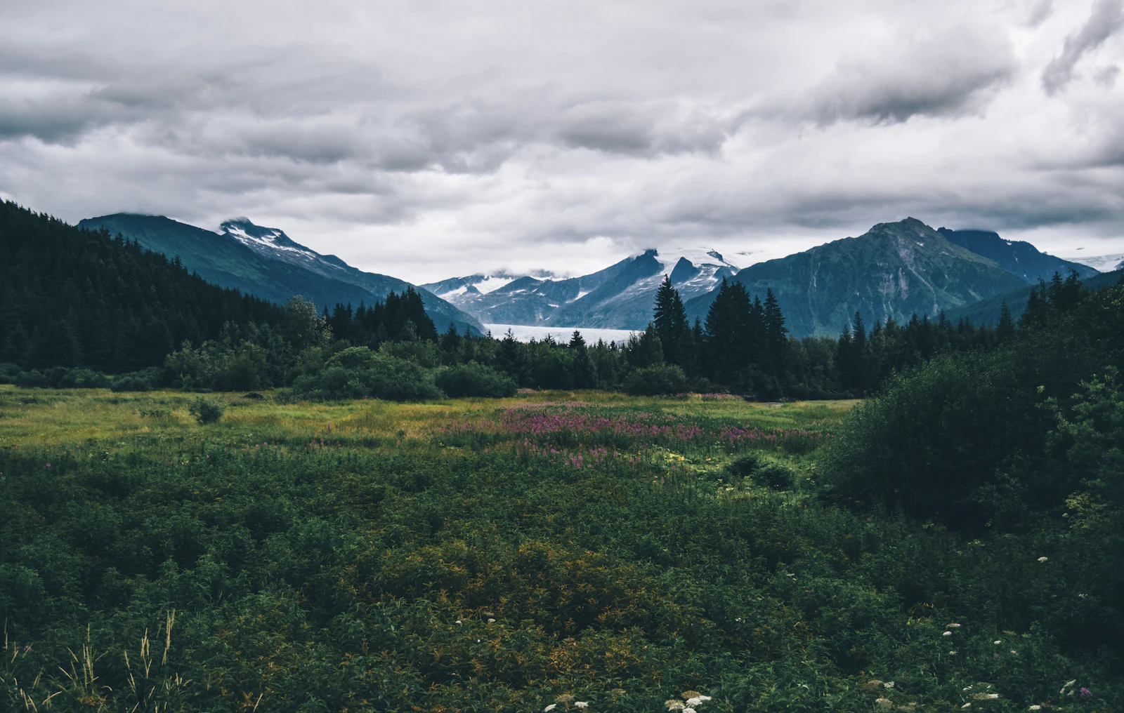 Juneau, Alaska photo 8 by Sandra Seitamaa